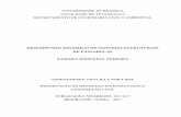 DESEMPENHO DINÂMICO DE SISTEMAS ESTRUTURAIS DE …repositorio.unb.br/bitstream/10482/24522/1/2017_SamaraPimentel... · Desempenho Dinâmico de Sistemas Estruturais de Passarelas