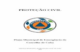 PROTEÇÃO CIVIL - Município de Cubacm-cuba.pt/ficheiros/protecaoCivil/PME_CUBA.pdf · PROTEÇÃO CIVIL Plano Municipal de Emergência do Concelho de Cuba . ... actualmente em processo