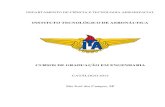 CURSOS DE GRADUAÇÃO EM ENGENHARIA - aer.ita.br · 5.3.2 Divisão Acadêmica de Engenharia Aeronáutica - IEA 47 5.3.3 Divisão Acadêmica de Engenharia Eletrônica - IEE 53 5.3.4