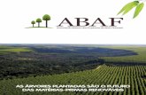 AbAf - Unindo o setor florestal Representatividade · Foi o passo inicial para um novo posicionamento, ... malmente nas áreas de cultivo. Uma ... 255outdoor ficaram
