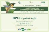 BPUFs para soja - IPNI - Brasilbrasil.ipni.net/ipniweb/region/brasil.nsf... · 1000 2000 2500 3000 3500 1970/79 1980/89 1990/99 2000/06 2008/09 2009/10 2010/11 2011/12 2012/13 Soja