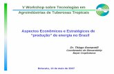 V Workshop sobre Tecnologias em Agroind ústrias de ... · Aspectos Econômicos e Estrat égicos de “produ ção ” de energia no Brasil Botucatu, 10 de maiode 2007 Dr. Thiago