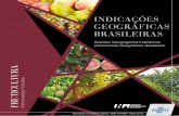 INDICAÇÕES GEOGRÁFICAS BRASILEIRAS - inpi.gov.br · Indicação de procedência 3. Denominação de origem 4. Qualidade 5. Fruticultura I. Sebrae II. ... Temos agora que expandir