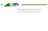 Regulamento Campeonatos Brasileiros Brasileiros de Hoquei ...hoqueisobregrama.com.br/wp-content/uploads/2017/03/Regulamento... · 2: Rua Buenos Aires, 93 –Sala 1211 -Centro Rio