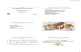 Avicultura de Postura - fcav.unesp.br .02/06/2016 2 Avicultura de Postura Evolu§£o da Postura Comercial