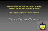 Universidade Federal de Santa Catarina Módulo Saúde da ...cepelli.com.br/wp-content/uploads/2015/01/Cistos-cervicais.pdf · fosseta amigdaliana ipsilateral, Tumores cervicais e