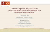 Controlo óptimo de processos semi-contínuos com ... · A. Ismael F. Vaz e Eugénio C. Ferreira IV Ciclo de Seminários de Matemática - "Modelação e Simulação", IPG, 25 Maio,