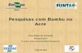 Pesquisas com Bambu no Acre - bamboo.gs · - TÍTULO: Manejo e Utilização da Taboca Gigante ( Guadua sp.) como Alternativa de Ecodesenvolvimento na Reserva Extrativista Chico Mendes