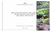 MONITORIZAÇÃO DA FLORA AUTÓCTONE DA ILHA DE …portaldoconhecimento.gov.cv/bitstream/10961/2181/1/MONITORIZAÇÃO... · flora of Sao Vicente Island, in order to clarify the current