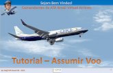 Sejam Bem Vindos! Comandantes da ATA Brasil Virtual Airlines · By Staff ATA Brasil VA ... ATA mostra um pequeno resumo com os dados do voo na parte superior da tela com uma opção