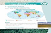 BIOMAS E FITOGEOGRAFIA DO BRASIL - harbradigital.com.br fileFloresta de coníferas (taiga) • Localizada no hemisfério Norte, imediatamente ao sul da tundra. ... • É um bioma