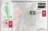 Bioeconomy Marketplace Oportunidades para o setor ...bcsdportugal.org/wp-content/uploads/2017/12/06_Pitch_Sal-Verde.pdf · Vila Real 19 Dezembro de 2017 Bioeconomy Marketplace –Oportunidades