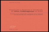 preparacao resposta virus chikungunya brasil · Prepara o e Resposta Introdu o do V rus Chikungunya no Brasil Baseado no livro Preparaci n y respuesta ante la eventual introducci