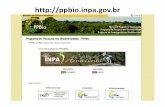 Apresentação Portal PPBio [Modo de Compatibilidade] · O Portal PPBio fol cnado com a intenção de disseminar as Informaçöes sobre o Programa, principalmente seus resultados