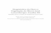 Diagnóstico da Flora e Vegetação do Morro José ...amaguaiba.org/wp-content/uploads/2015/06/04... · bioma, muito próximo do Bioma Mata Atlântica e recebendo grande influência