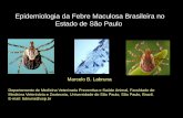 Epidemiologia da Febre Maculosa Brasileira no Estado de ... · ATAQUE EM MASSA !!! Amblyomma aureolatum: INFESTAÇÕES RARAS, ... de larvas, ninfas e adultos de A. cajennense em equinos