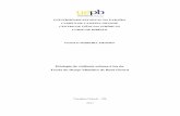 Etiologia da violência urbana à luz da Teoria do Desejo ...dspace.bc.uepb.edu.br/jspui/bitstream/123456789/11003/1/PDF - Danilo... · FICHA CATALOGRÁFICA ELABORADA PELA BIBLIOTECA