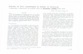 Impressão de fax em página inteira - Acta Amazonica · oc — pinene, f?' — pinene, 1,8 cineole, metil benzoato, metil salicilato, e uma mistura de 1 destas substâncias odoríferas.