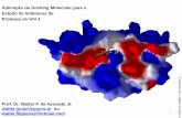 Docking Molecular para o Estudo de Inibidores daazevedolab.net/resources/bioinfo5_tox.pdfA AIDS surgiu como pandemia há algumas décadas atrás e causou grande temor, pois inicialmente