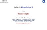Apresentação do PowerPoint§ão1.pdfAula de Bioquímica II Tema: Transcrição Prof. Dr. Júlio César Borges Depto. de Química e Física Molecular – DQFM Instituto de Química