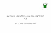 Colestase Neonatal, Kasai e Transplante em AVB · • Perinatal . Tipos de atresia das vias biliares Tipo 1 – atresia é limitada ao ducto biliar comum