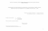 Alelopatia de Brachiaria humidicola e brizantha: efeito ...srs.ifmt.edu.br/media/filer_public/71/94/71947bc1-cbaf-42c8-a7d5-60f9...INSTITUTO FEDERAL DE EDUCAÇÃO, CIÊNCIA E TECNOLOGIA