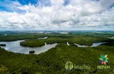 Apresentação do PowerPointrepam.org.br/wp-content/uploads/2018/08/Apresentação-do-Sínodo.pptx.pdf · Um Sínodo para CONVIVER com a Amazônia, com o modo de ser de seus povos,