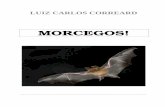 MORCEGOS! - static.recantodasletras.com.brstatic.recantodasletras.com.br/arquivos/4011660.pdf · para se proteger com as asas e para alçar vôo mais rapidamente no habitat em que