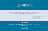 TDSE - gesel.ie.ufrj.br · Bianca Castro Nivalde de Castro ISBN: 978-85-93305-95-5 Rio de Janeiro Junho de 2018 . 2 . 3 INDICE Introdução ..... 4 1. The Consumer Council – O Caso