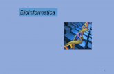 Apresentação do PowerPoint - qa.ff.up.pt · 3 Prefixos MIM * gene com uma sequência conhecida + gene com uma sequência e fenótipo conhecidos # descrição fenotípica, base molecular