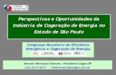 Perspectivas e Oportunidades da Indústria de Cogeração de ... filePerspectivas e Oportunidades da Indústria de Cogeração de Energia no Estado de São Paulo Congresso Brasileiro