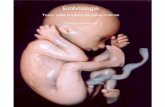 Embriologia - ufrgs.br · Prefácio Embriologia (embrio – embrião, logos – ciência) significa a ciência que estuda os embriões, isto é, o estudo descritivo ou experimental