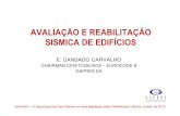 AVALIAÇÃO E REABILITAÇÃO SISMICA DE EDIFÍCIOSmlopes/conteudos/SeminarioReabilitacao/Cansado de Carvalho... · AVALIAÇÃO E REABILITAÇÃO SISMICA DE EDIFÍCIOS E. CANSADO CARVALHO