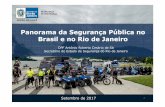 Panorama da Segurança Pública no Brasil e no Rio de Janeiro · A ineficácia do sistema punitivo "O sistema traz impunidade e eu penso que a impunidade em geral no Brasil, decorrente