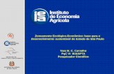 Zoneamento Ecológico-Econômico: base para o ...arquivos.ambiente.sp.gov.br/cpla/2012/01/10-Yara-Maria-Chagas-de-Carvalho.pdf · Objetivo Introduzir a questão da diferenciação