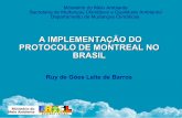 A IMPLEMENTAÇÃO DO PROTOCOLO DE MONTREAL NO BRASIL · tÍtulo da palestra seminÁrio nacional sobre combate ao comÉrcio ilÍcito de substÂncias destruidoras da camada de ozÔnio