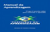 Ministério do Trabalho e Emprego - apitaprendiz.org.br · Presidente da República Dilma Rousseff Ministro do Trabalho e Emprego Carlos Lupi Secretário-Executivo Substituto Paulo