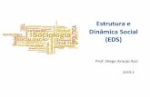 Estrutura e Dinâmica Social (EDS) · sociologia, frente à filosofia e à psicologia ... • Vigilância e penalidades para que os deveres sociais sejam cumpridos (M. Foucault, vigiar