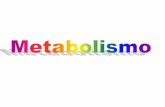 O QUE É O METABOLISMO - fcav.unesp.br · Metabolismo é dividido em catabolismo e anabolismo O conjunto de reações metabólicas envolvidas no processamento ... química, a quantidade