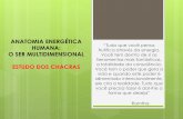 ANATOMIA ENERGÉTICA HUMANA: O SER MULTIDIMENSIONAL …espacoviverzen.com.br/wp-content/uploads/2017/06/ANATOMIA-ENERGÉTICA... · como mediador entre os corpos de energia mais elevados