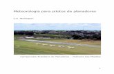 Meteorologia para pilotos de planadores - cvvrc.lcvm.com.br · Meteorologia para pilotos de planadores C.E. Wallington Campeonato Brasileiro de Planadores – Palmeira das Missões