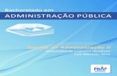 ADMINISTRAÇÃO PÚBLICA - educapes.capes.gov.br · – grande especialista na área –, ainda não foi desenvolvida uma teoria da organização pública que seja completa e integrada.