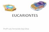 EUCARIONTES - formacaosolidaria.org.br€¦ · CÉLULAS EUCARIONTES. EUCARIONTES. Teoria de Endossimbiose. REVESTIMENTOS CELULARES. ESTRUTURAS DE REVESTIMENTOS CELULARES •PAREDE