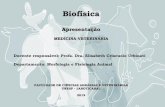 Biofísica - fcav.unesp.br · PDF fileBIOFÍSICA Princípios físicos de sistemas e fenômenos biológicos (condução nervosa, contração muscular, visão, audição, circulação