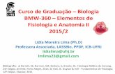 Curso de Graduação Biologia BMW-360 Elementos de ... · Possui potencial de membrana instável (-60 mV e sobe lentamente até chegar ao limiar e disparar um potencial de ação)