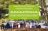 ASSEMBLEIA ESPECIAL PARA A REGIÃO PAN-AMAZÔNICA … · e de suas expressões espirituais. A bacia do Rio Amazonas e os bosques tropicais que a circundam nutrem os solos e regulam,