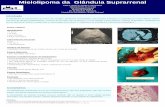Mielolipoma da Glândula Suprarrenal - congresso... · O mielolipoma da suprarrenal é um tumor raro, benigno, geralmente assintomático, cuja estrutura histológica é constituída
