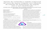 Aporte de nutrientes e estado nutriconal de estação de ...revistadae.com.br/artigos/artigo_edicao_180.2_n_1453.pdf · Piracicaba, SP – Brasil – e-mail: tmgomes@esalq.usp.br