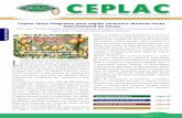 Ceplac lança Programa para região cacaueira durante Festa ...nica, capacitação, difusão e exten-são rural, através de um programa nacional que atenderá produtores de cacau