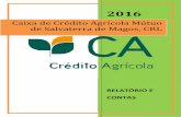 Caixa de Crédito Agrícola Mútuo de Salvaterra de Magos, CRLA fiscalização da Caixa de Crédito Agrícola compete a um Conselho Fiscal e a uma Sociedade de Revisores Oficiais de